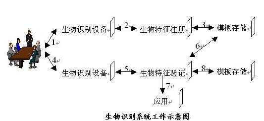 生物识别技术的基本原理