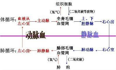 烟嘴的成分