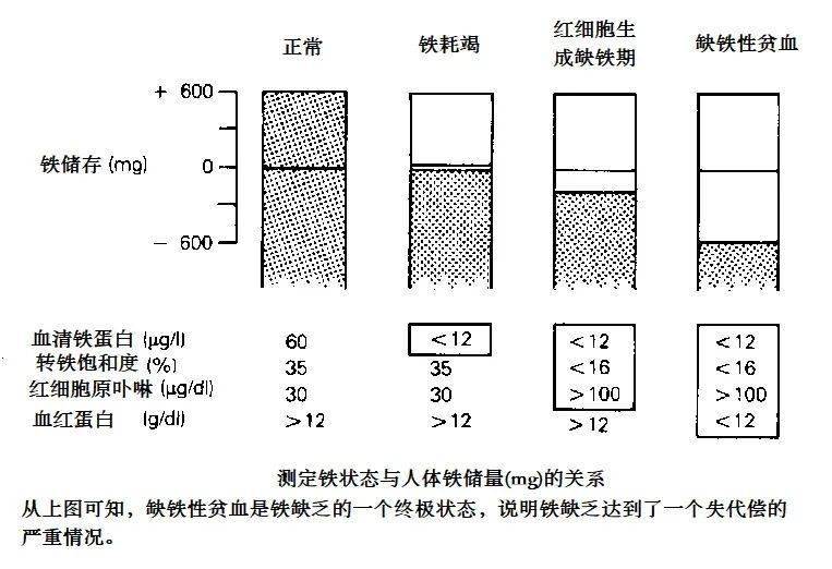 橡胶配合剂分为哪四大体系