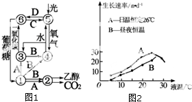 炔烃在能源中的利用